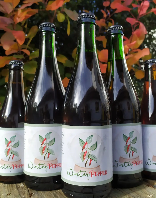 Bière de Noël : origine et meilleures Christmas Beer